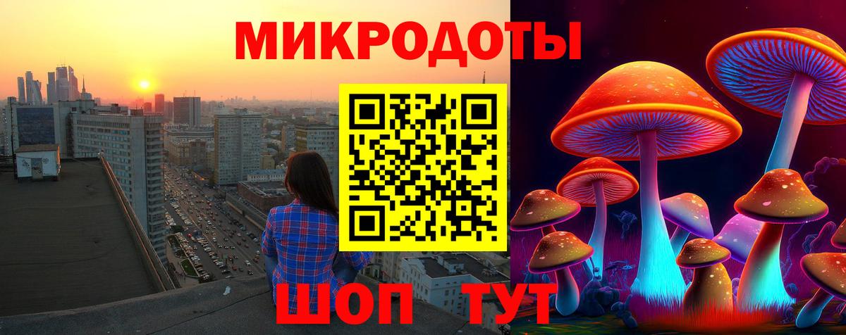 Армавир  Галлюциногенные грибы мицелий  Вход с VPN  Псилоцибиновые грибы GOLDEN TEACHER 